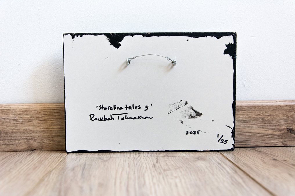 Rouzbeh Tahmassian - Shoreline tales #9 - No reserve price #4.3