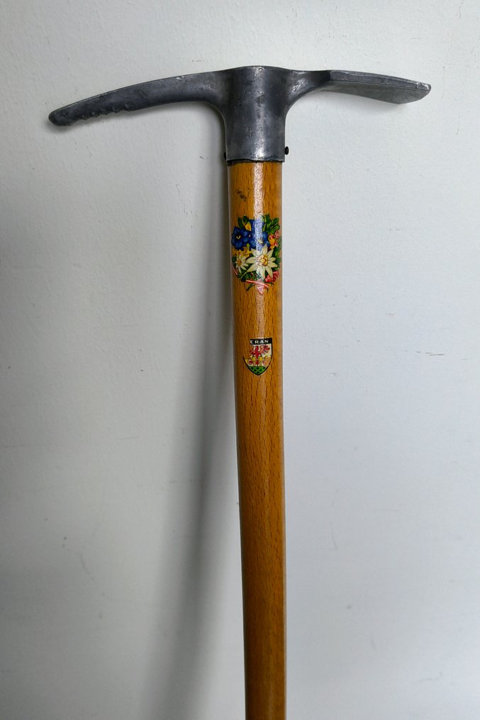 Wintersport - Bastoncini da sci + piccone da ghiaccio  #2.1