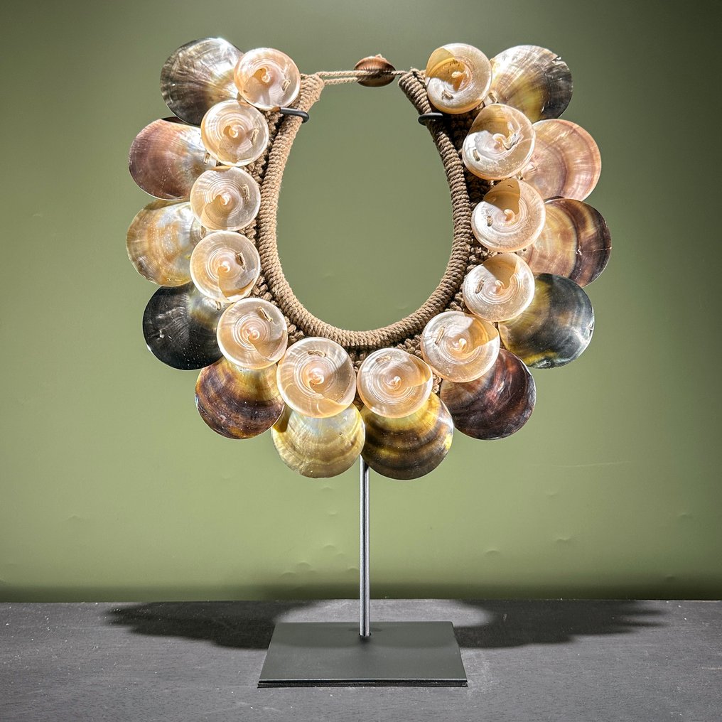 装饰饰品 - NO RESERVE PRICE - SN5 - Decorative Shell Necklace on Custom Stand - 巴布亚新几内亚 #1.0