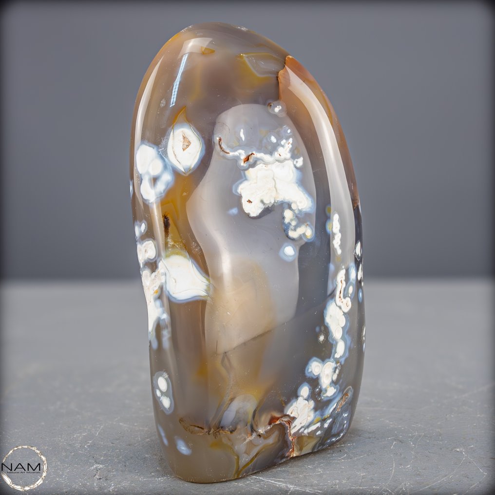 Φυσικό Όρκας Αχάτης ελεύθερου σχήματος. Δυναμική κομψότητα των ωκεανών- 1008.05 g #4.3