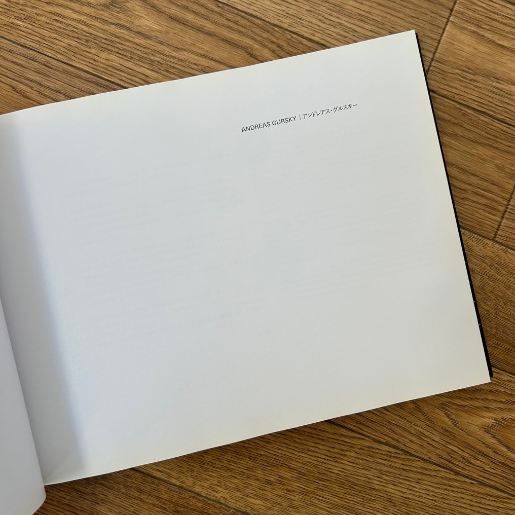 Andreas Gursky - Andreas Gursky - 2013 #3.2