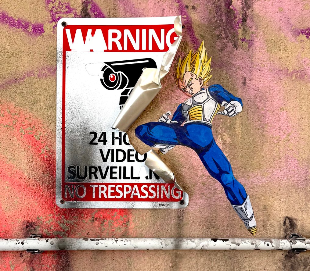 Mart Signed (XX) - Vegeta. Stop Control. Broken Wall. DRAGON BALL. #3.2