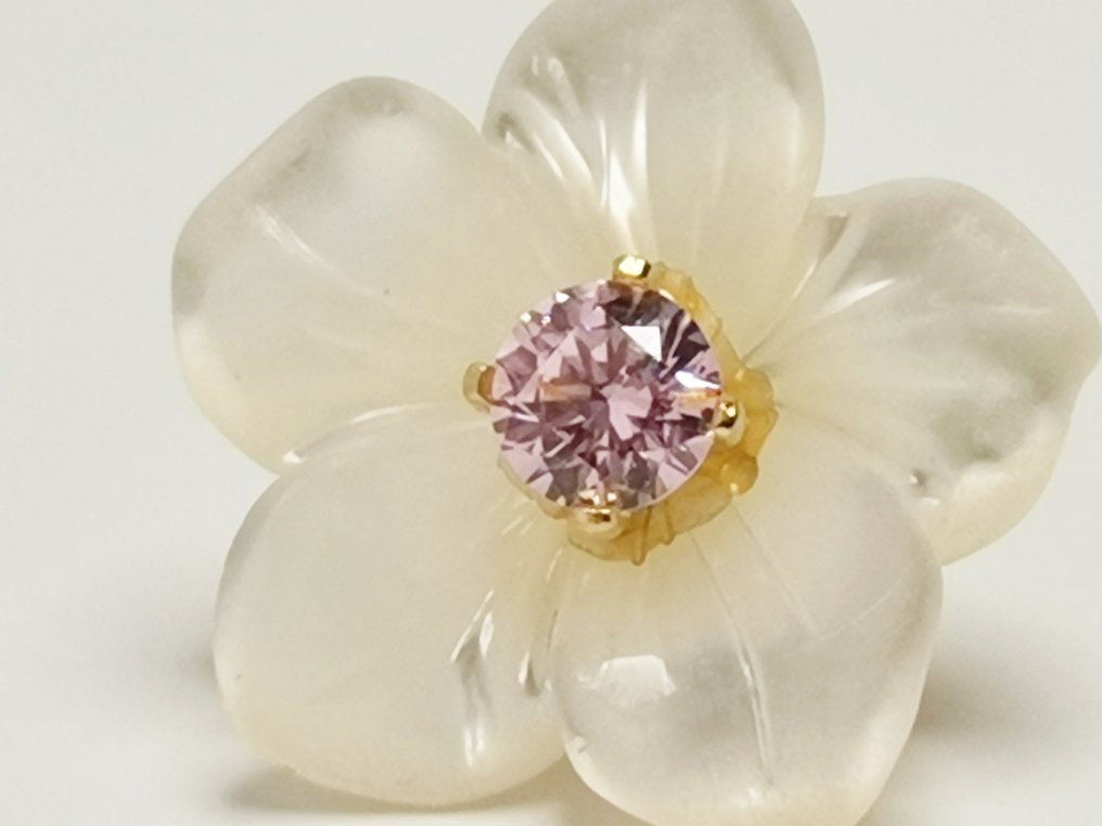 Sans prix de réserve - Boucles d'oreilles - 18 carats Or jaune - Nacar - Deux joyaux en un #4.3