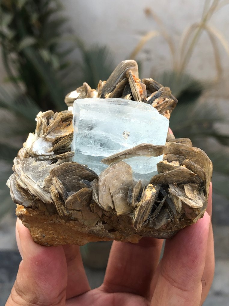 Φυσικά τελειωμένος κρύσταλλος ακουαμαρίνας σε συνδυασμό με μουσκοβίτη. Δείγμα - Ύψος: 54 mm - Πλάτος: 62 mm- 1278.85 g - (1) #3.2