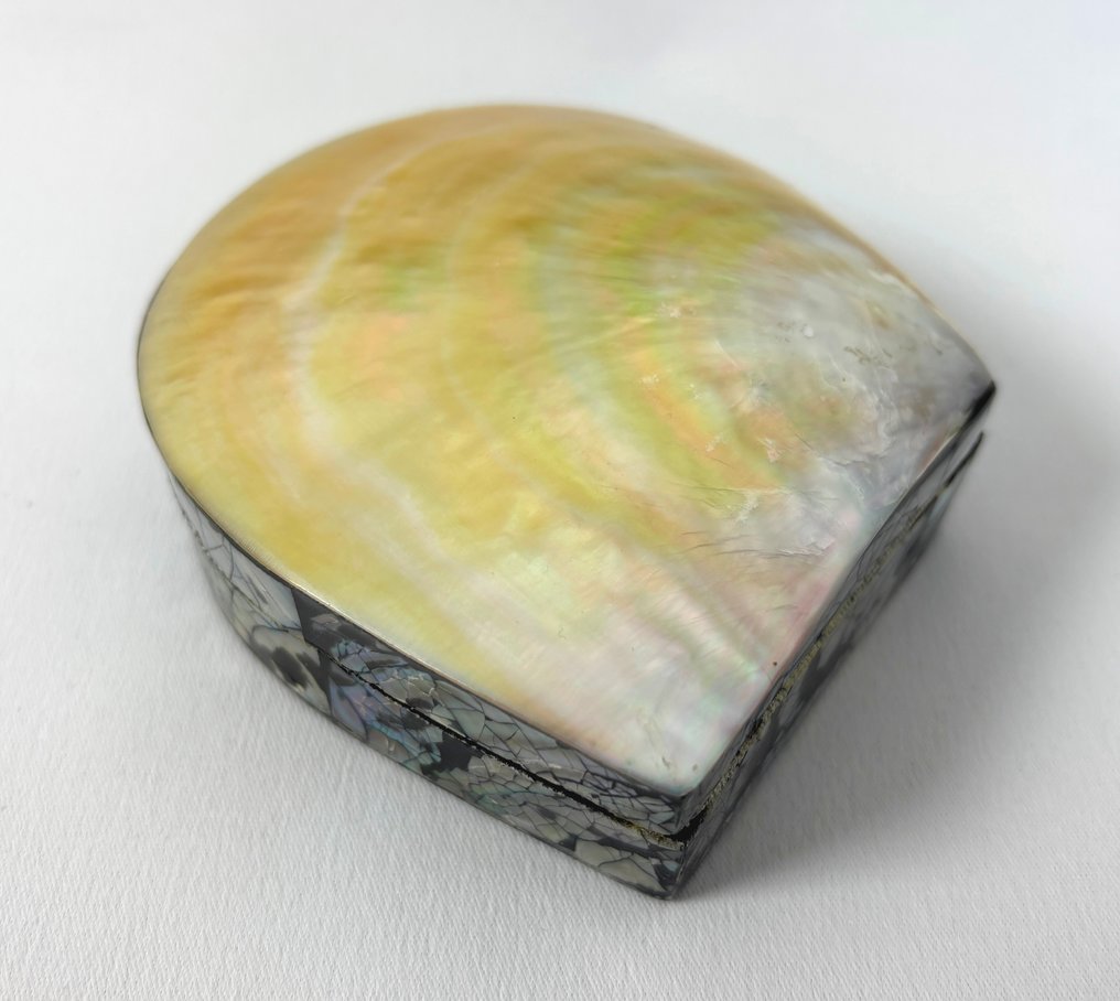 geen merk - Schelpendoosjes - Jewellery case #3.2