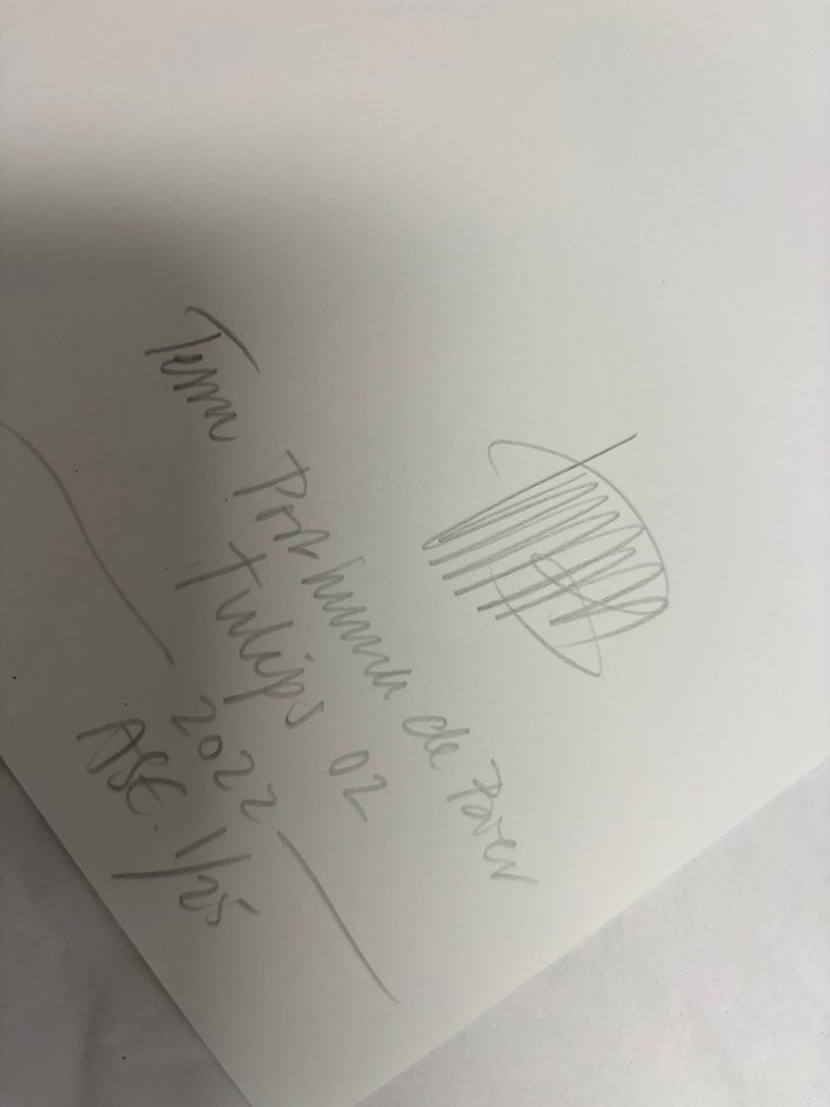 Tessa Posthuma de Boer - Tulips 02 #4.3