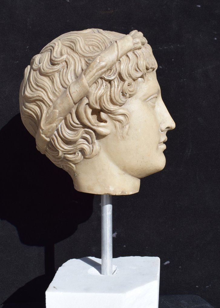 Figure - Testa di Dionisio - Reconstructed Carrara marble #1.0