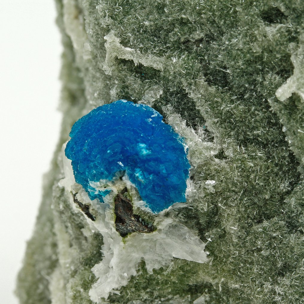 Cavansite Rosette – 深蓝色 矩陣晶體 - 高度: 6.5 cm - 闊度: 6.4 cm- 242 g #1.0