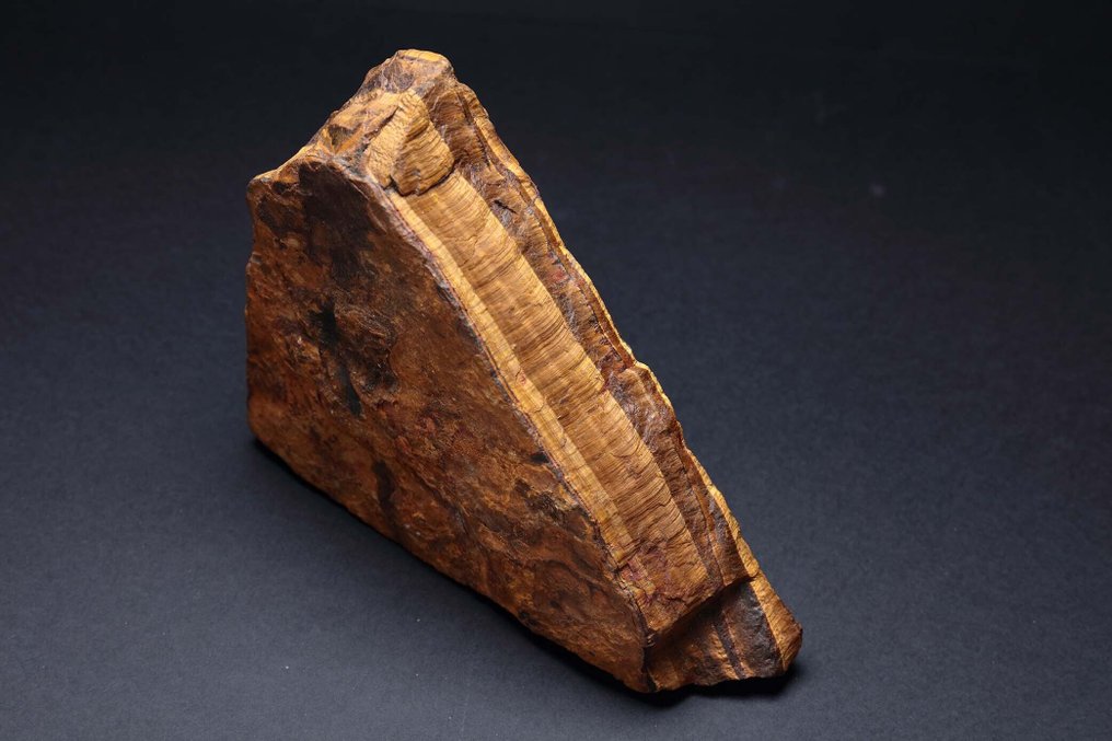 Tiger Eye Rough - Height: 14 cm - Width: 12 cm- 3.38 kg - (1) #1.0