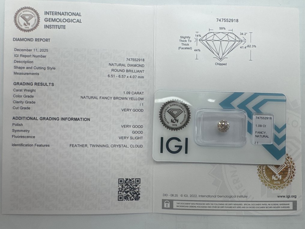 Zonder minimumprijs - 1 pcs Diamant  (Natuurlijk gekleurd)  - 1.09 ct - Rond - Fancy Bruin, Geel - P1 - International Gemological Institute (IGI) #1.0