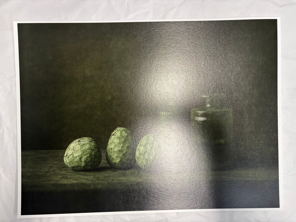 Tessa Posthuma de Boer - Cherimoya #4.3