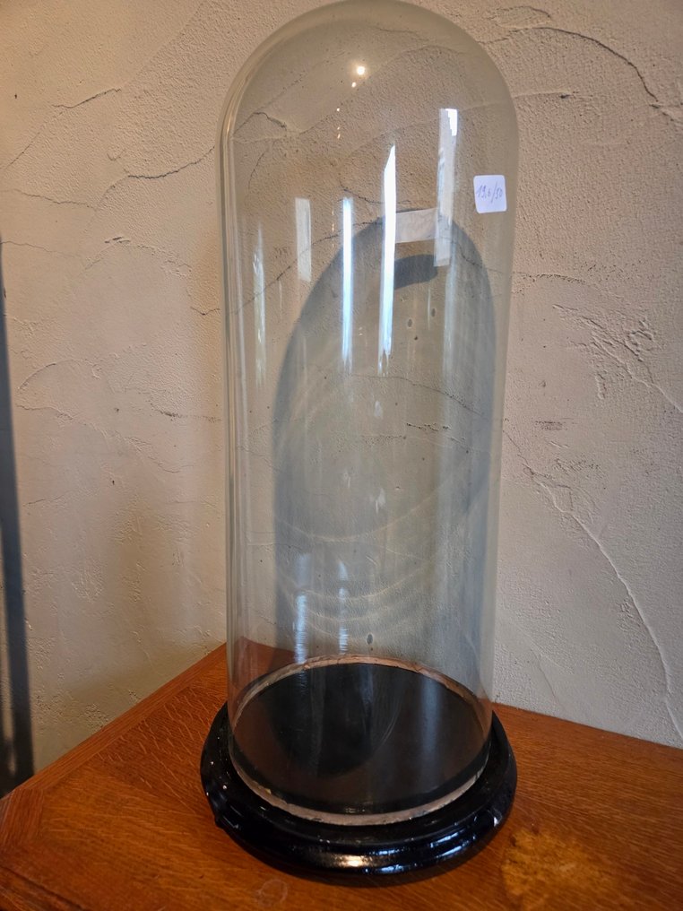 Globe - stolp - antiek - 1901-1920 - Antique round display case with original wooden base, dimensions: height without base approximately #4.3