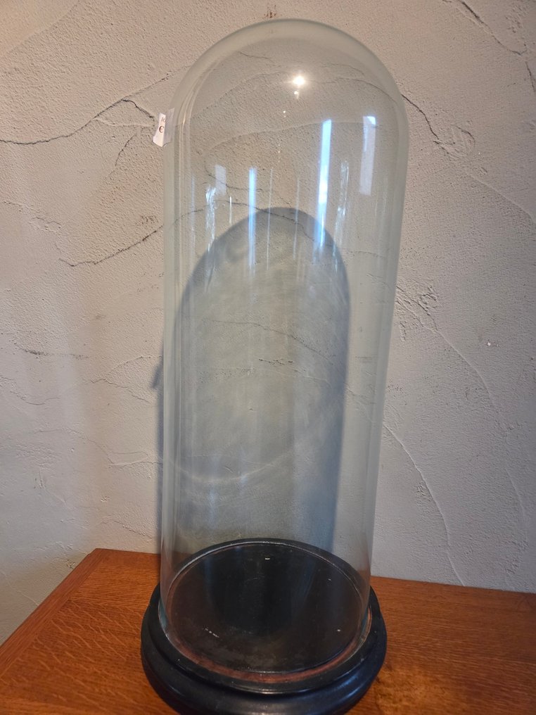 Globe - stolp - antiek - 1901-1920 - Antique round display case with original wooden base, dimensions: height without base approximately #1.0