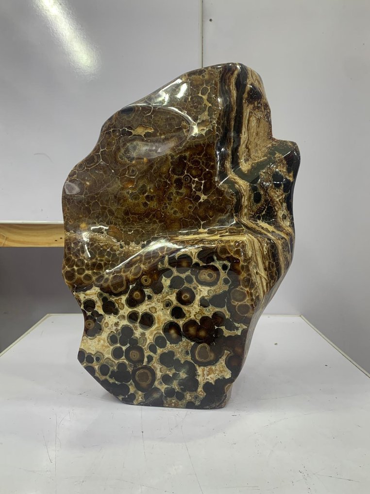 Γυαλισμένο Jasper με μοτίβο λεοπάρδας, εντυπωτικό οβάλ μοτίβο. Ελεύθερη μορφή - Ύψος: 330 mm - Πλάτος: 175 mm - 7300 g - (1) #1.0