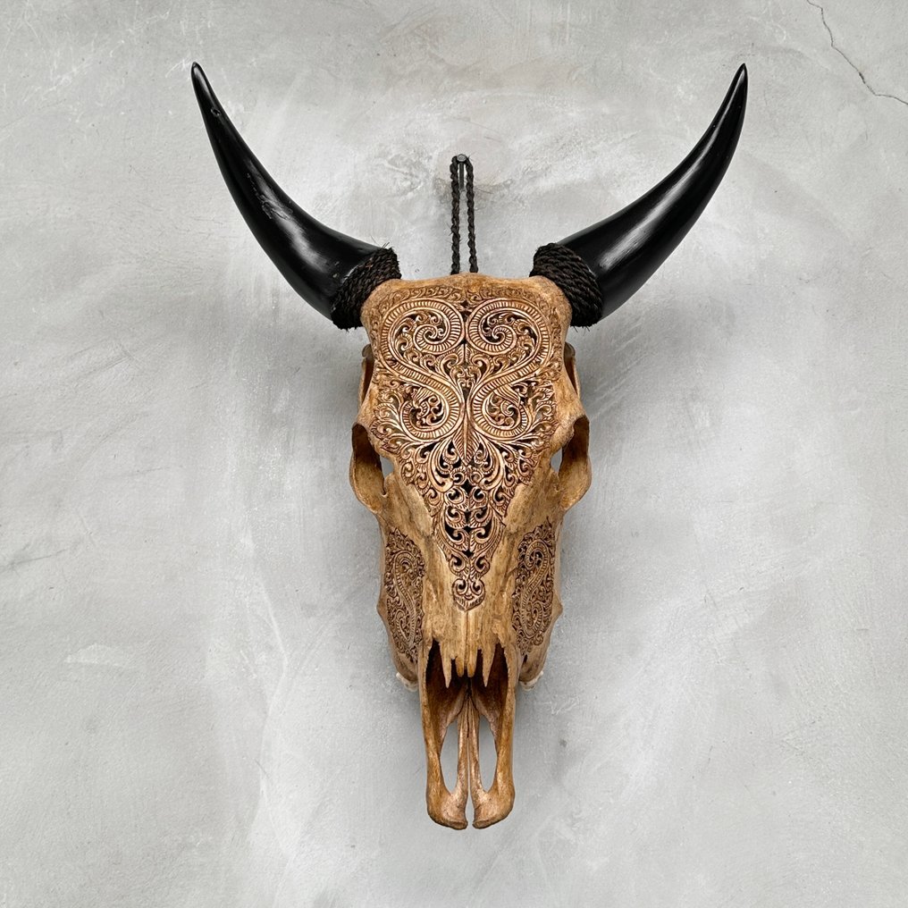 Χωρίς ελάχιστη τιμή - Αυθεντικό καφέ κρανίο αγελάδας χειροποίητο, με μοτίβο φύλλου. Λαξεμένο κρανίο - Bos Taurus - 53 cm - 41 cm - 16 cm- Είδη που δεν ανήκουν στο CITES -  (1) #2.1