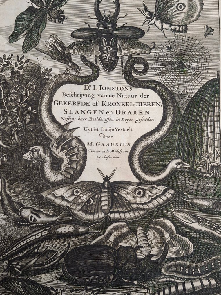 [Historiae Naturalis] - Johnston - Beschrijving van de natuur der gekerfde of kronkel-dieren, slangen en draken - 1660 #1.0