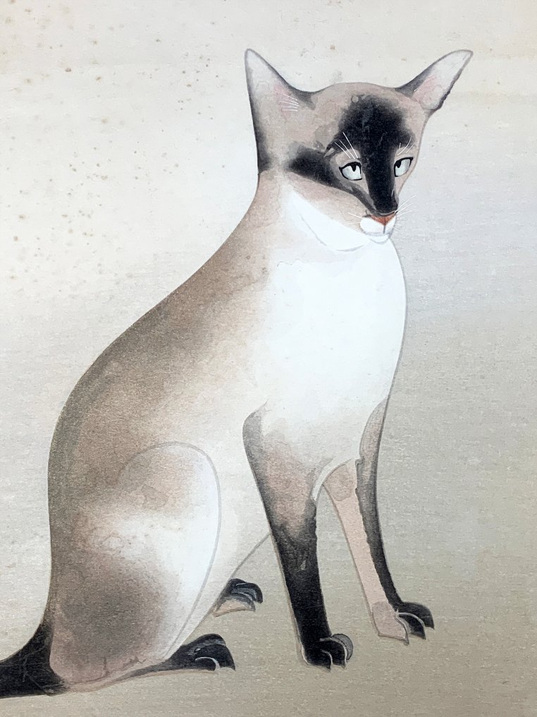 Siamese Cat (暹羅猫) - Anonymous - Japan  (No reserve price) #3.2
