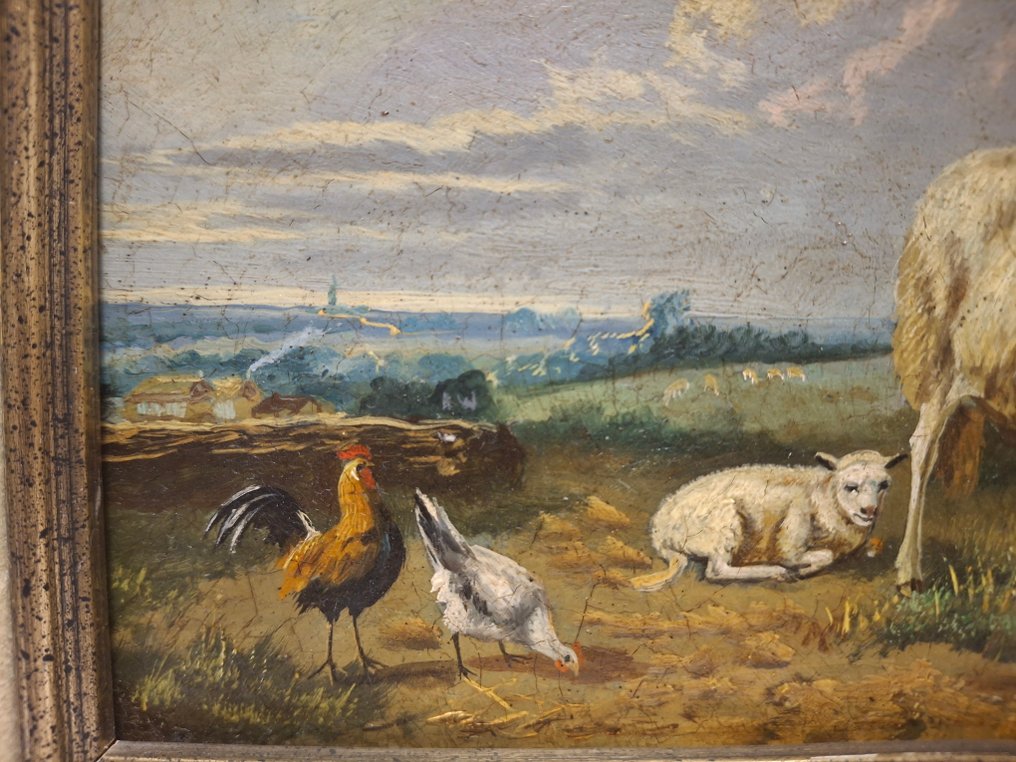 比利时学校 (XX) - Schapen met pluimvee #4.3