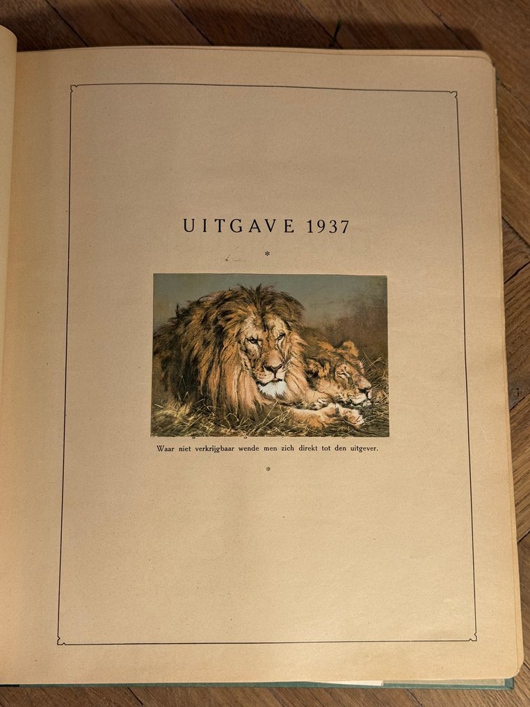 荷兰和海外 1852/1954 - 邮票册：荷兰及殖民地 #4.3