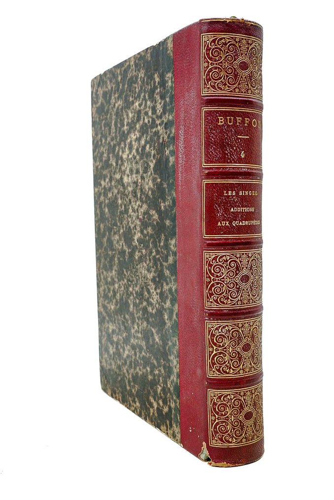 Buffon & M. Flourens - Œuvres de Buffon : Les singes, Additions aux quadrupèdes - 1855 #1.0