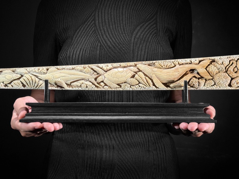 Χωρίς ελάχιστη τιμή - Εντυπωσιακό μεγάλο σκαλιστό ρύγχος ξιφία - θαλάσσιο μοτίβο Ρύγχος - Xiphias Gladius - 13 cm - 82 cm - 6 cm- Είδη που δεν ανήκουν στο CITES -  (1) #2.1