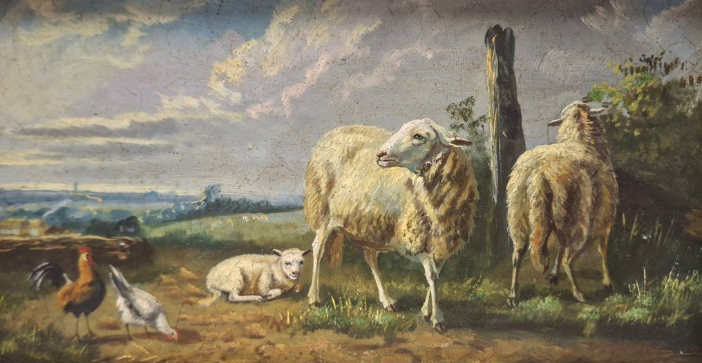 比利时学校 (XX) - Schapen met pluimvee #1.0