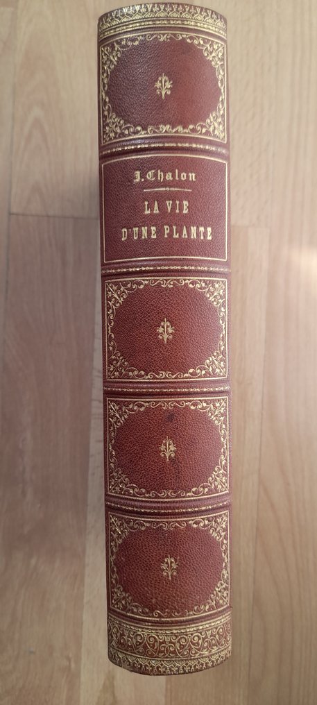 Jean Chalon - La vie d'une plante - 1871 #1.0