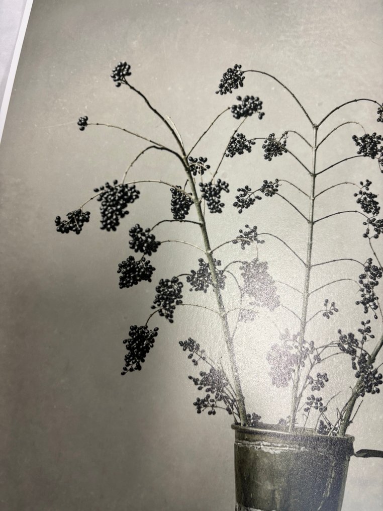 Tessa Posthuma de Boer - Privet #4.3