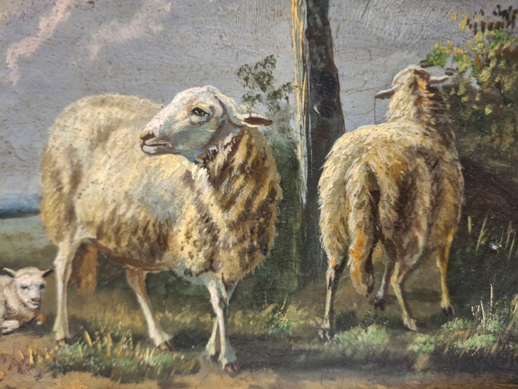 比利时学校 (XX) - Schapen met pluimvee #3.2