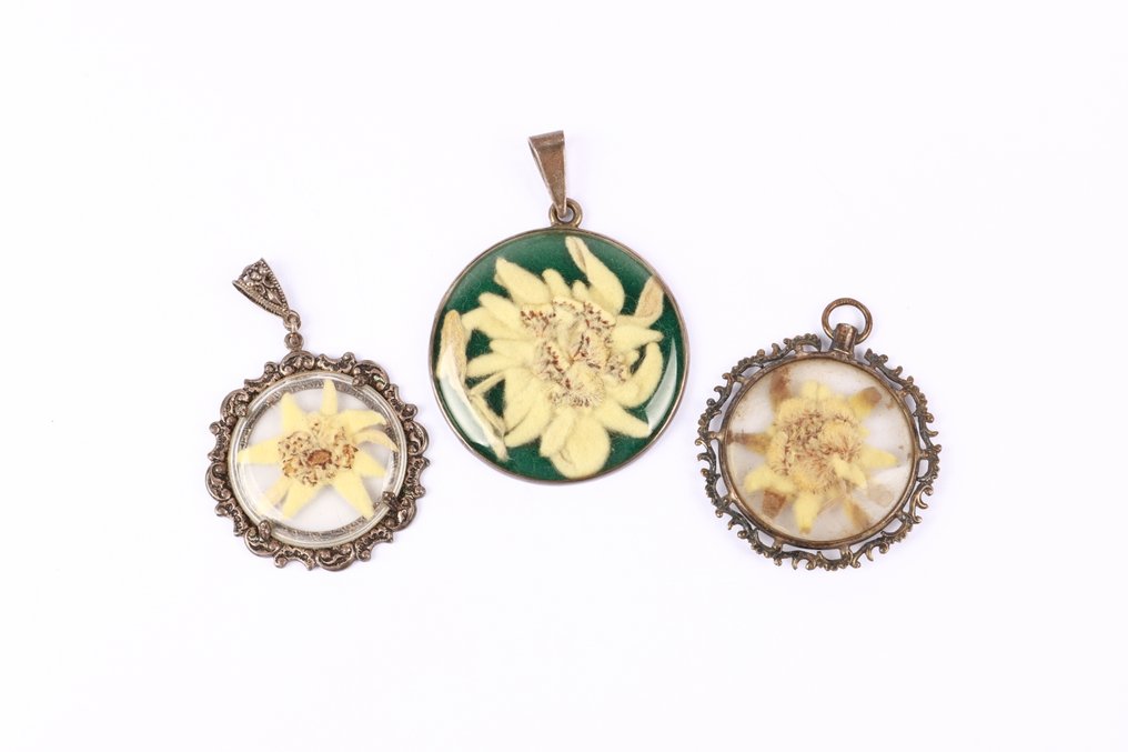 Senza prezzo di riserva - Ciondolo Argento - Edelweiss #1.0