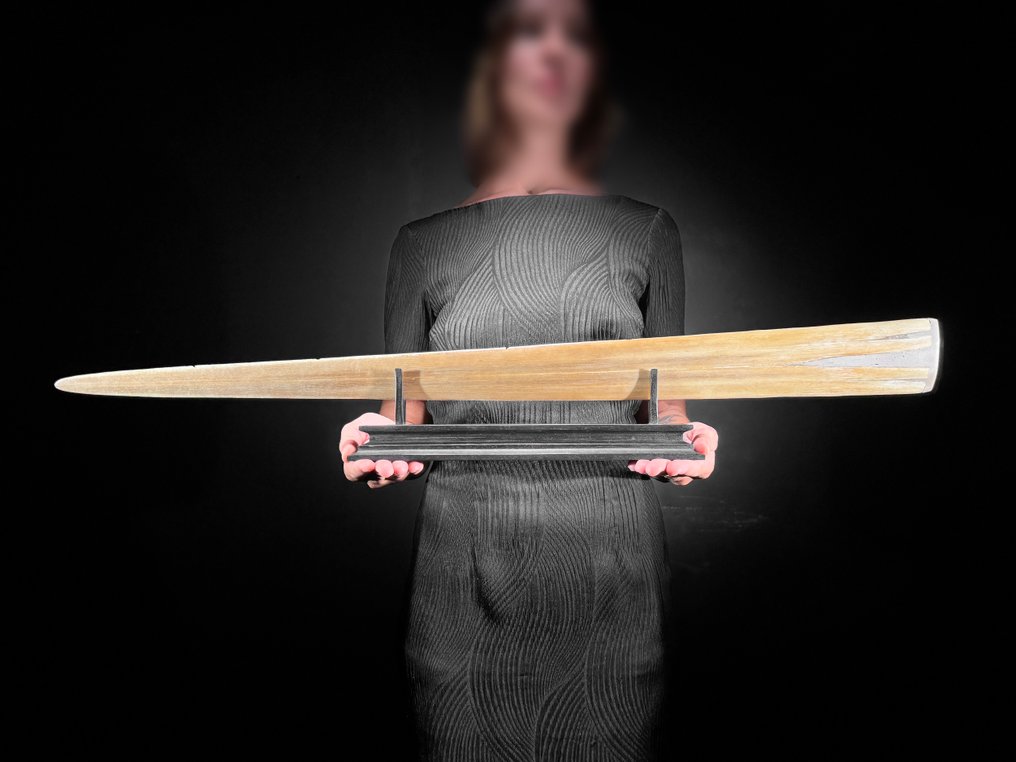 无底价 - 雕刻大型剑鱼牙，配有定制底座 - 龙虎图案 喙 - Xiphias Gladius - 13 cm - 84 cm - 6 cm- 非《瀕臨絕種野生動植物國際貿易公約》物種 -  (1) #4.3