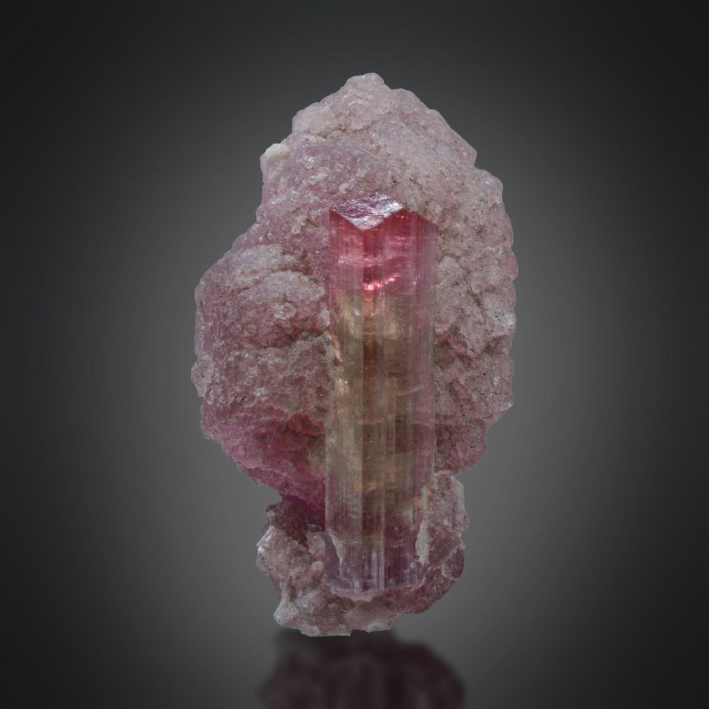 Τουρμαλίνης Δείγμα - Ύψος: 23 mm - Πλάτος: 13 mm- 4.98 g - (1) #1.0