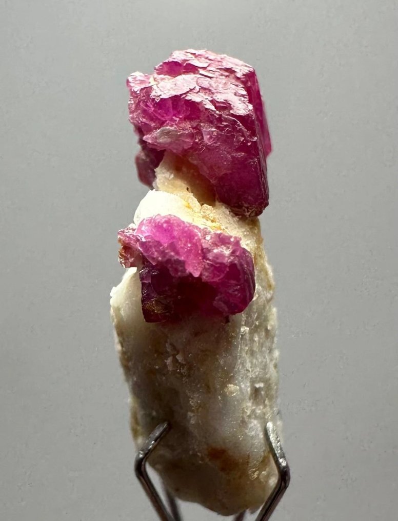 非凡！鸽血红宝石 水晶矩晶体 - 高度: 18 mm - 宽度: 6 mm- 7 t - (1) #4.3