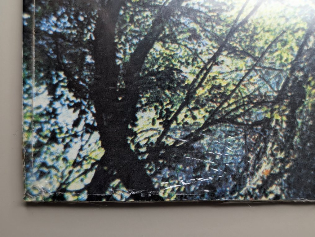 Rolling Stones - Big Hits (High Tide and Green Grass) - Vinyl record - 1st Stereo pressing - 1966 #4.3