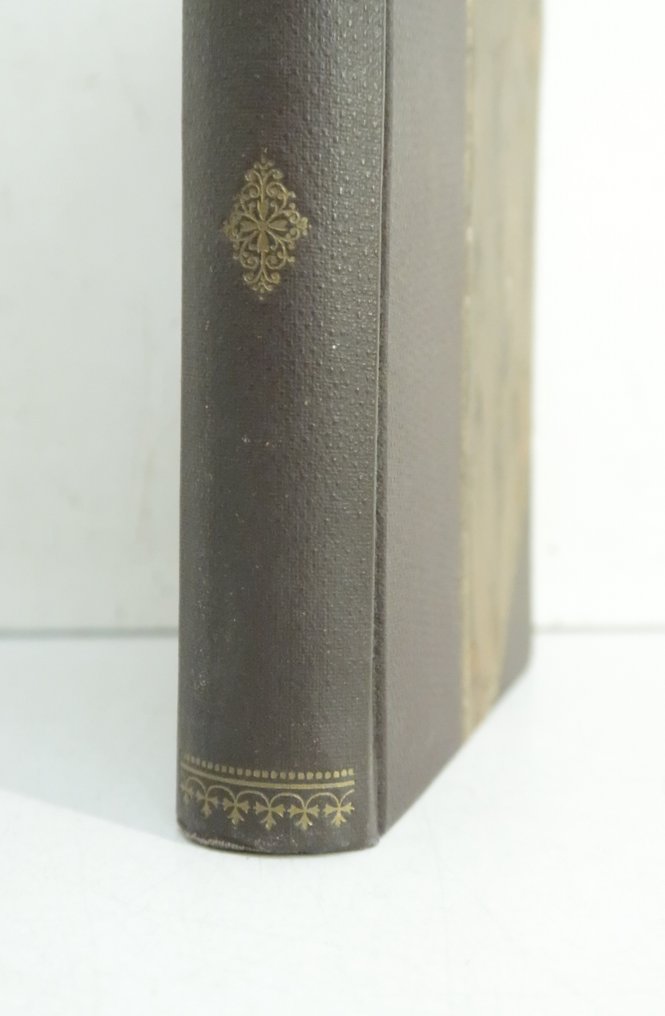 Victor Largeau - Le Sahara Algérien - Les déserts de l'erg - 1881 #3.2