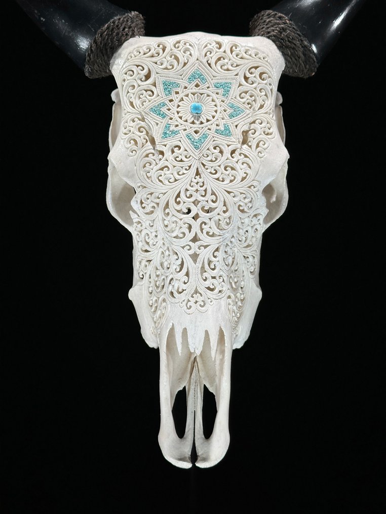 Χωρίς ελάχιστη τιμή - Εκθαμβωτικό λευκό ξυλόγλυπτο κρανίο αγελάδας - Μοτίβο αστέρι Μαντάλα με Λαξεμένο κρανίο - Bos Taurus - 55 cm - 43 cm - 16 cm- Είδη που δεν ανήκουν στο CITES -  (1) #1.0