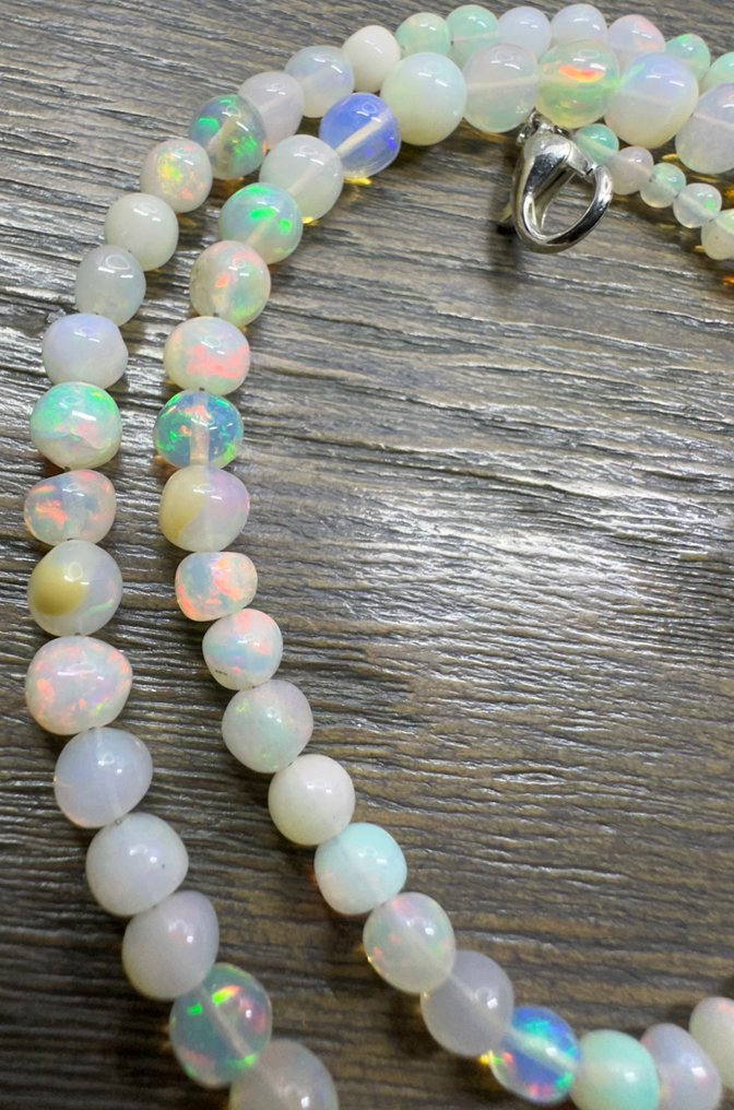 48,85 καρατίων οπαλ αλυσίδα Γυαλισμένος- 9.77 g #1.0