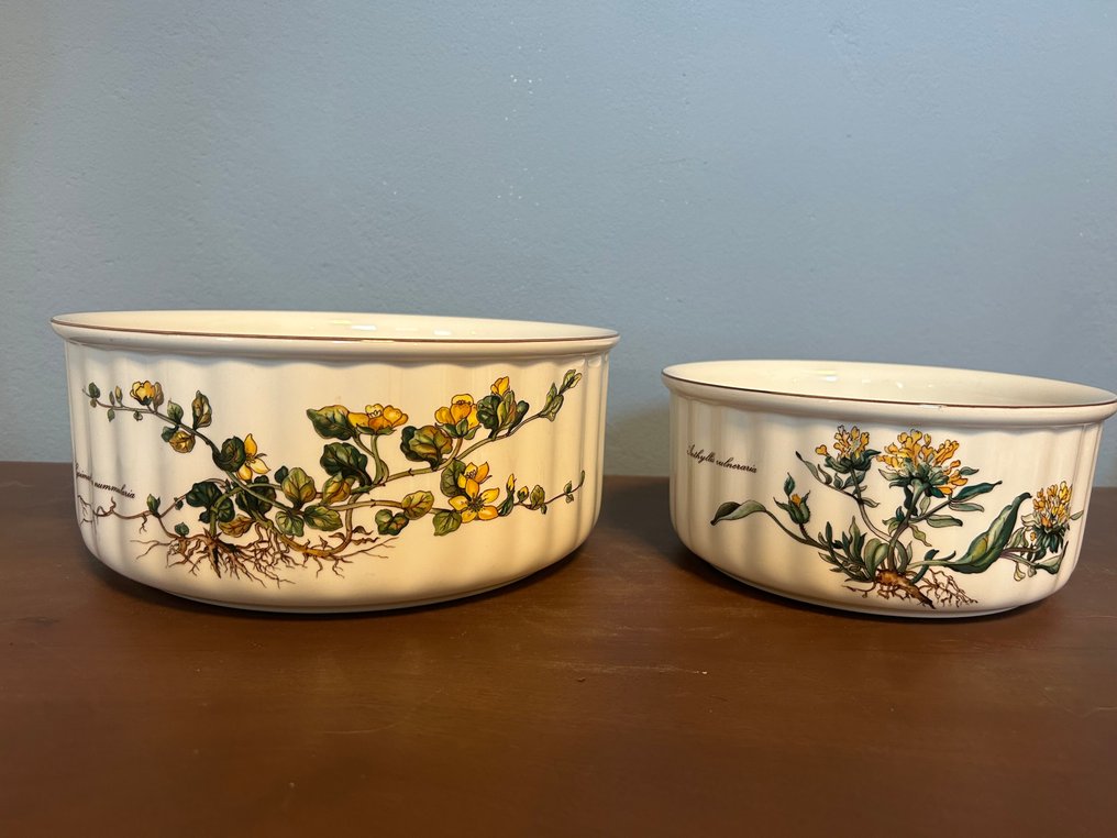 德国唯宝 - 烤盘 (2) -  Botanica - 瓷, 釉, 陶瓷 - Vilbofour Souffle #1.0