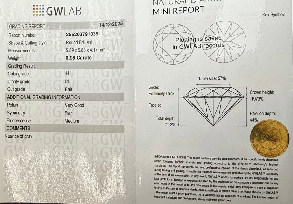 沒有保留價 - 1 pcs 鑽石  (天然)  - 0.98 ct - 圓形 - H(次於白色的有色鑽石) - I1 - Gemewizard Gemological Laboratory (GWLab) #2.1