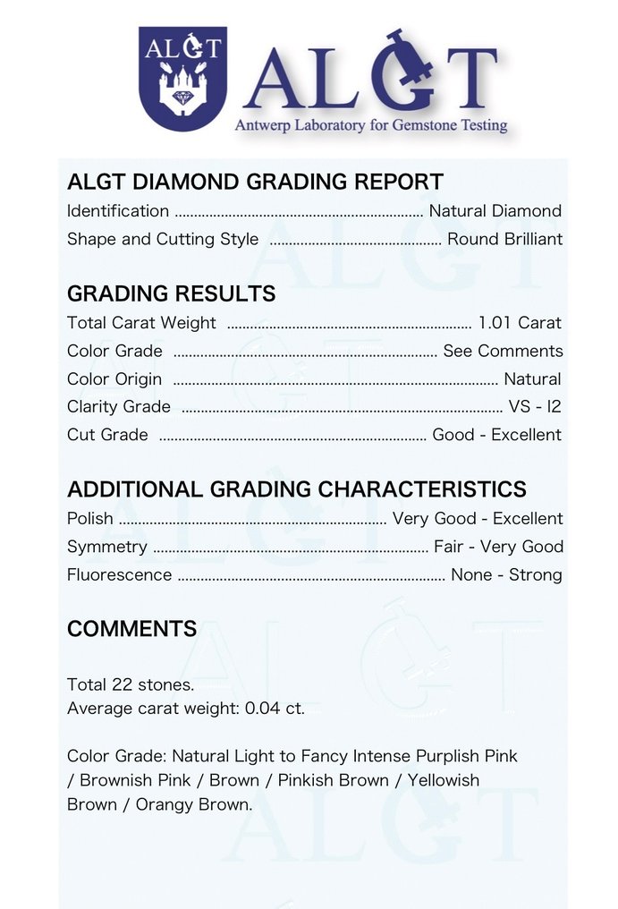没有保留价 - 22 pcs 钻石  (天然色彩的)  - 1.01 ct - 圆形 混合棕色, 混合粉色 - VS1 轻微内含一级, I2 内含二级 - 安特卫普宝石检测实验室（ALGT） #1.0