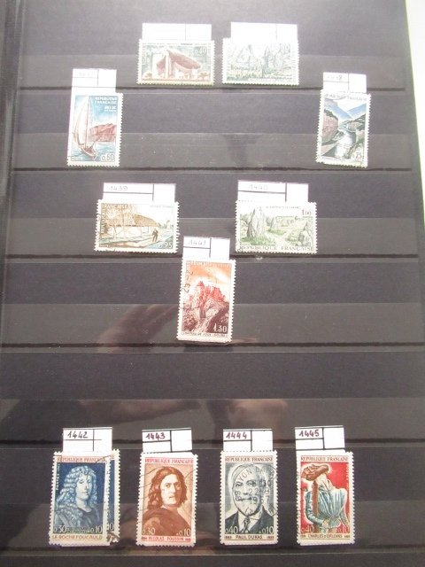 法国  - 一位考官仔细观察，邮票收藏在多个相册中。 #3.2