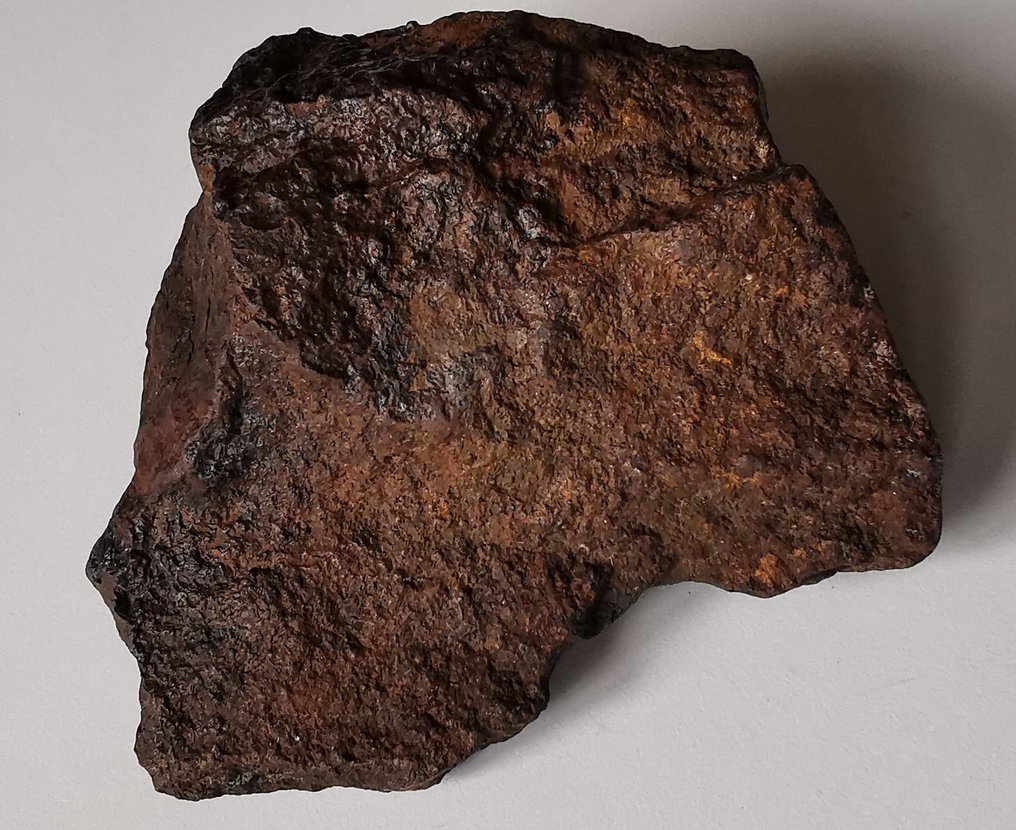 球粒隕石 NWA - 高度: 100 mm - 闊度: 90 mm - 660 g - (1) #4.3