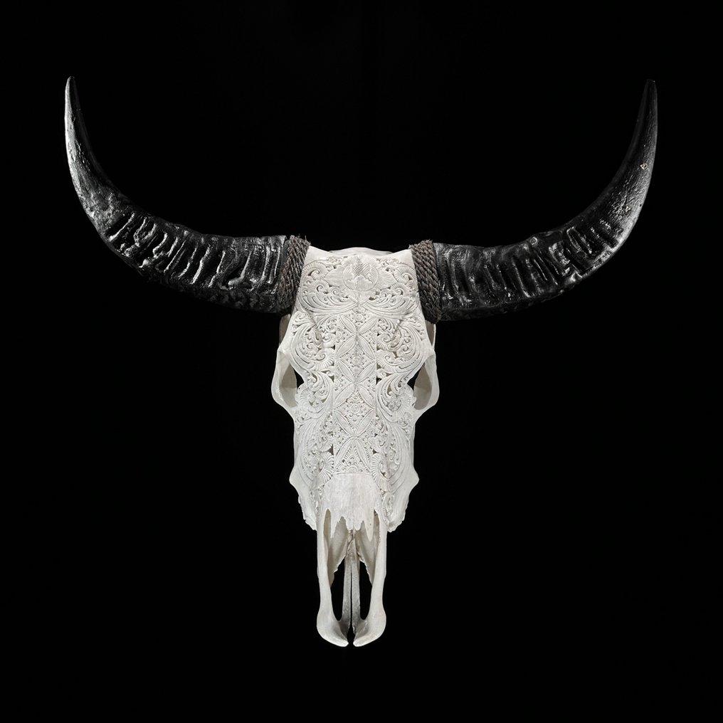 Χωρίς ελάχιστη τιμή - C - Αυθεντικό μεγάλο λευκό χειροποίητο κρανίο βούβαλου - Κιτίνουμ μοτίβο λωτού Λαξεμένο κρανίο - Bubalus Bubalis - 64 cm - 71 cm - 17 cm- Είδη που δεν ανήκουν στο CITES - (1) #2.1
