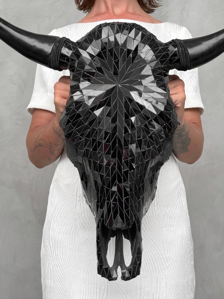 Χωρίς ελάχιστη τιμή - Εντυπωσιακό κρανίο ταύρου με επένδυση από ψηφιδωτό γυαλί - Μαύρο Κρανίο - Bos Taurus - 57 cm - 61 cm - 20 cm- Είδη που δεν ανήκουν στο CITES - (1) #1.0