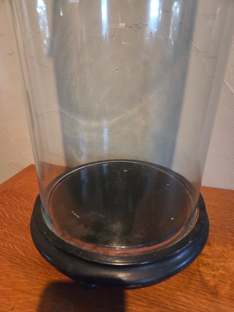 Globe - stolp - antiek - 1901-1920 - Antique round display case with original wooden base, dimensions: height without base approximately #2.1