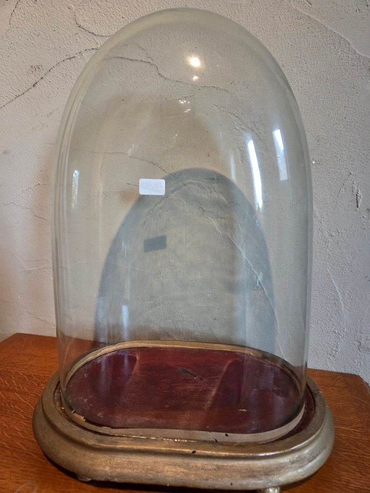 Globe - stolp - antiek - 1901-1920 - Antique oval display stand on wooden base, dimensions: height without base approximately 36.5 cm. #1.0