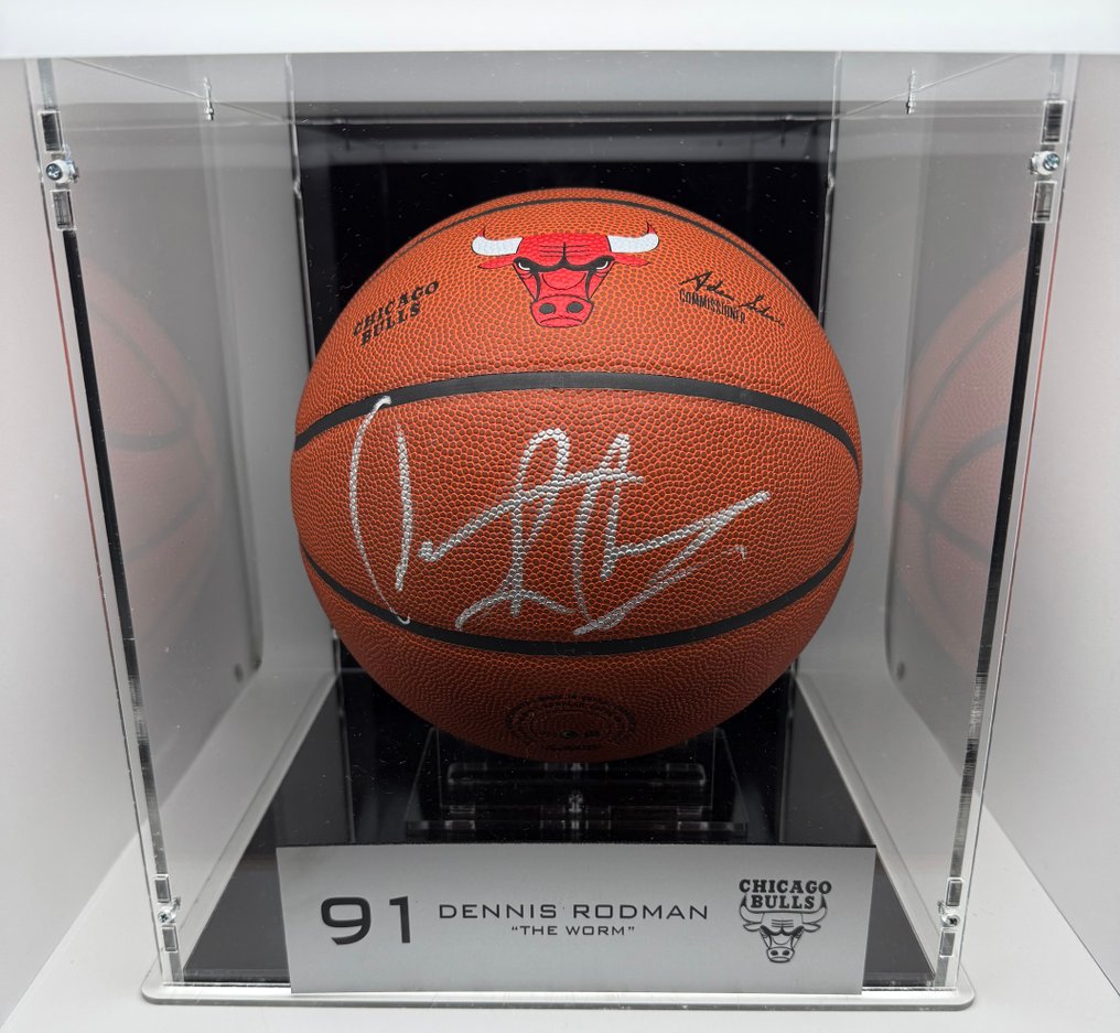 芝加哥公牛隊 - 國家籃球協會 - Dennis Rodman - 籃球 #1.0