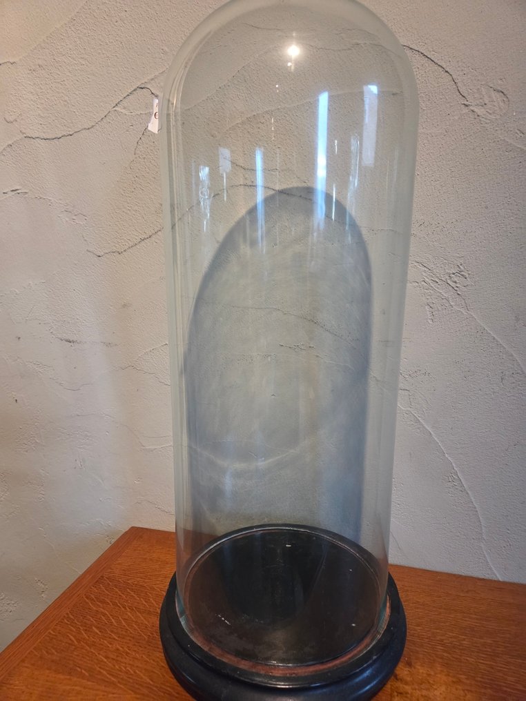 Globe - stolp - antiek - 1901-1920 - Antique round display case with original wooden base, dimensions: height without base approximately #1.0