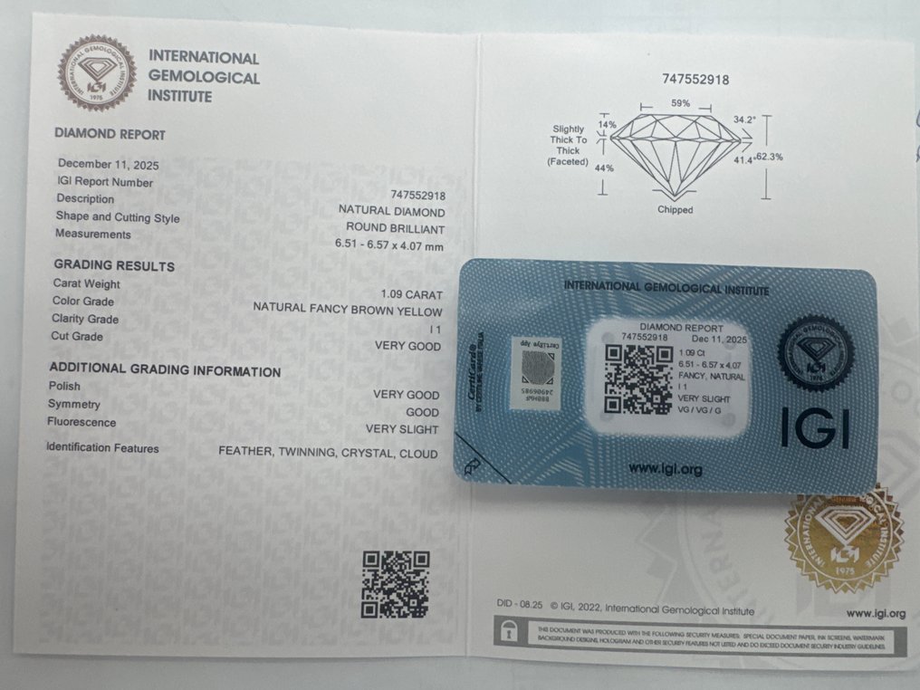 Zonder minimumprijs - 1 pcs Diamant  (Natuurlijk gekleurd)  - 1.09 ct - Rond - Fancy Bruin, Geel - P1 - International Gemological Institute (IGI) #2.1