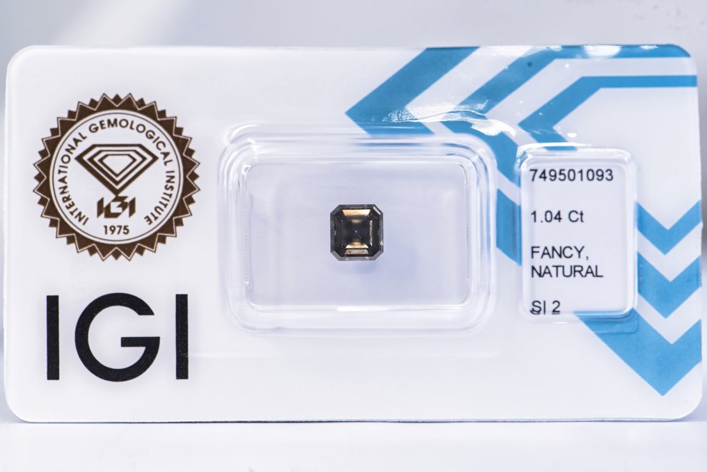 No reserve price - 1 pcs Diamond  (Natural coloured)  - 1.04 ct - Emerald - Fancy dark Greenish Grey - SI2 - International Gemological Institute (IGI) - VG VG #1.0